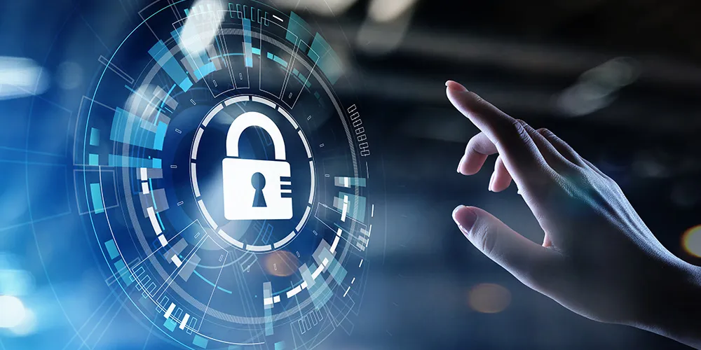 Comprehensive Digital Solutions